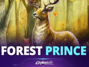 Forest Prince™ screenshot