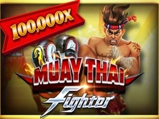 Muay Thai Fighter screenshot
