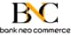 BSInet logo